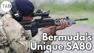 The Rifle That Replaced Bermuda's Ruger Mini-14s