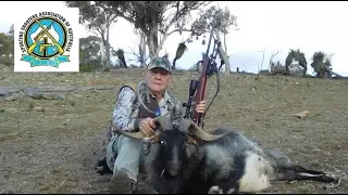 The scourge of feral goats