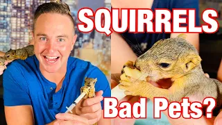 Why Squirrels DON'T Make Good Pets!!!