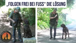 3 Gründe warum sich die Leinenführigkeit nie verbessert | Hundeschule U.B.