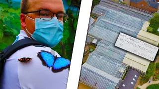 Exploring The BIGGEST Butterfly Farm In The UK!