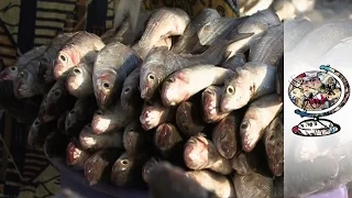 Cocaine Is Washing Ashore In Guinea Bissau (2008)