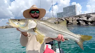 Jetty Elephants Eat Peanuts | Catch Clean & Cook (Florida Inlet Fishing)