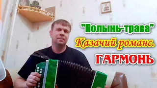 🌿"Полынь - трава" 💖казачий романс - песня под гармонь. 🎶Поёт Андрей Никулин. Russische Volkslieder.