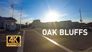 Oak Bluffs 2022 Summer Day, View from the Nancy's Restaurant , OB Marina MVVACATION.com [4K]