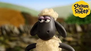 Shaun the Sheep 🐑 Sassy Shaun - Cartoons for Kids 🐑 Full Episodes Compilation [1 hour]