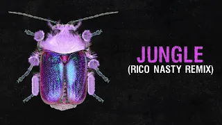 Rico Nasty x Fred Again - Jungle (Remix)