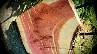 Live #2 - Red Cedar Turning