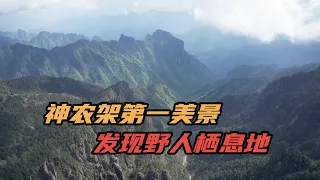 神农架第一美景，神农顶，发现野人栖息地