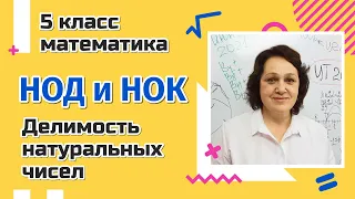 Как найти НОД и НОК? Делимость натуральных чисел.