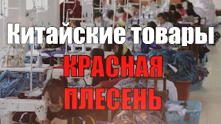 Красная Плесень - Китайские товары | Лучшие песни