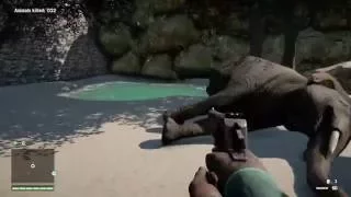 GOING TO THE ZOO! FarCry 4