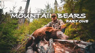 Idaho Spring Bear 2024 - Part One // 4K FILM 🎥