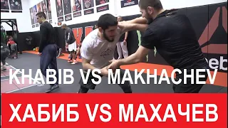 ИСЛАМ МАХАЧЕВ VS ХАБИБ НУРМАГОМЕДОВ ТРЕНЕРОВКА  / KHABIB NURMAGOMEDOV VS ISLAM MAKHACHEV WORKOUT