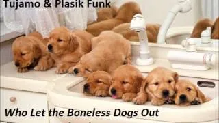 Steve Aoki, Chris Lake & Tujamo & Plasik Funk - Who Let the Boneless Dogs Out (Dee - K MashUp)