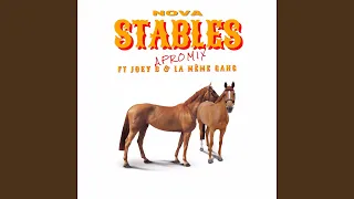 Stables (feat. Joey B, La Même Gang) (Afromix)