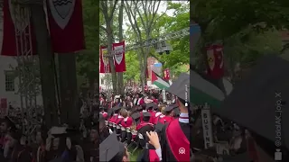 Hundreds of students walk out in protest at Harvard graduation ceremony