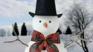 i am the best snowman in the world