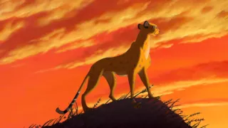 Lion King Intro [720p]