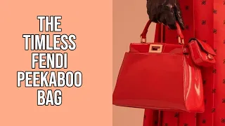 The FENDI PEEKABOO *LUXURY BAG*  (101 Short Information Guide)