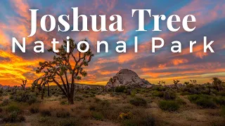 The 12 BEST Things To Do In Joshua Tree National Park