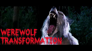 Ted werewolf transformation - forest scene - Bad Moon HD
