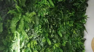 Как сделать стену из искусственных растений, 250 250см