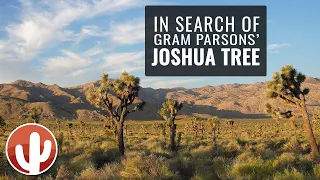 Following the Footsteps of GRAM PARSONS in Joshua Tree National Park | California