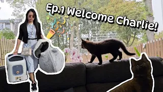 Charlie's Life - Ep.1 Welcome Charlie! Our first 3 month old kitten 🐈‍⬛ Still very shy and no trust