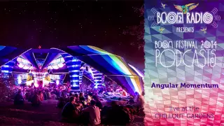 Angular Momentum - Chill Out Gardens 15 - Boom Festival 2014