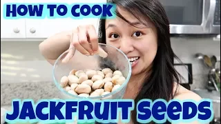 How to Cook Jackfruit Seeds - Easy Steps (They are Edible!)