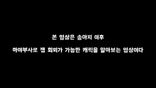 새벽에 한가해서 만든 팁 영상 (송아지 이후 하야부사로 잽 회피가 가능한 캐릭은?)