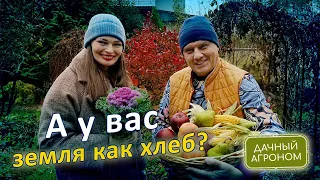 ПОШАГОВО Сделай ЛЮБУЮ почву как ХЛЕБ Дачный агроном