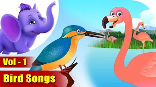 Bird Songs Vol 1| 4K | Appu Series