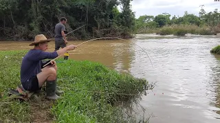 Foi na entrada do corgo que tinha muito peixe, pescaria!!!