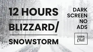 12 Hours Snowstorm / Blizzard - Sounds For Sleeping, Relaxing & Meditation [BLACK SCREEN] No ads