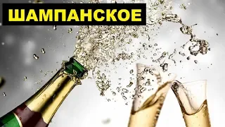 Производство Шампанского и игристых вин как бизнес идея