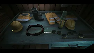 All new gear ][ The long Dark (Buried Echoes Update)