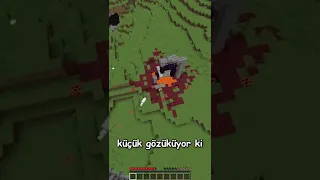 Minecraft AMA ÇOK BÜYÜĞÜM