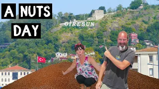 Turkish VAN LIFE adventures - A very NUTS day in GIRESUN