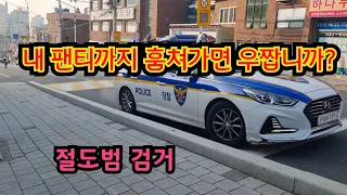 고양이탐정이 절도범을 직접 잡았습니다