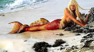 The Mermaid Down' (2019) Movie Explained in Hindi