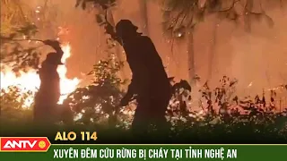 Nắng nóng dữ dội, xảy ra cháy rừng trên diện rộng tại Nghệ An | Alo 114 | ANTV