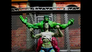 The Sensational She Hulk Action Figure Appreciation Vid