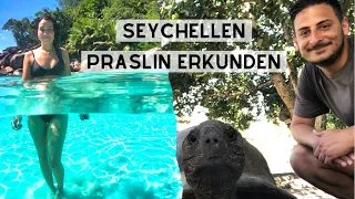 Weltreise VLOG 8 - Seychellen: Wir entdecken die Insel Praslin - Traumstrände & Schildkröten! 3/5