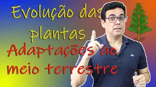 Evolução das Plantas Terrestres - origem evolutiva a partir das algas verdes