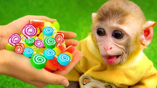Monkey baby So cute Bi Bon help Cheese find boxes of colorful marshmallows | Animals Home Bibi Candy