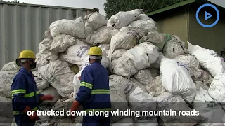 Tonnes of trash from Mt. Everest handed over for recycling