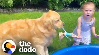 Dog is REALLY Obsessed With Playing With His Sister's Barbies! | The Dodo