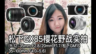 【阿布垃机手册】松下GX85樱花野战实拍（ft. 松下GM1S、12-35mm F2.8、20mm F1.7 II、35-100mm F4-5.6）